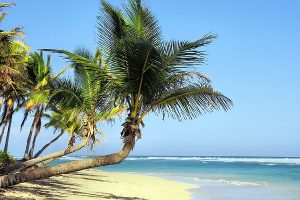 Wakacje pod palmami - tanie oferty wyjazdow wakacyjnych - wakacje 2016